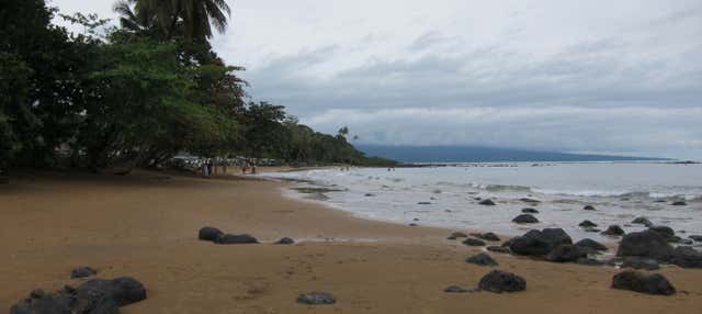 Escursione nella foresta pluviale di Ureka con avvistamento di tartarughe