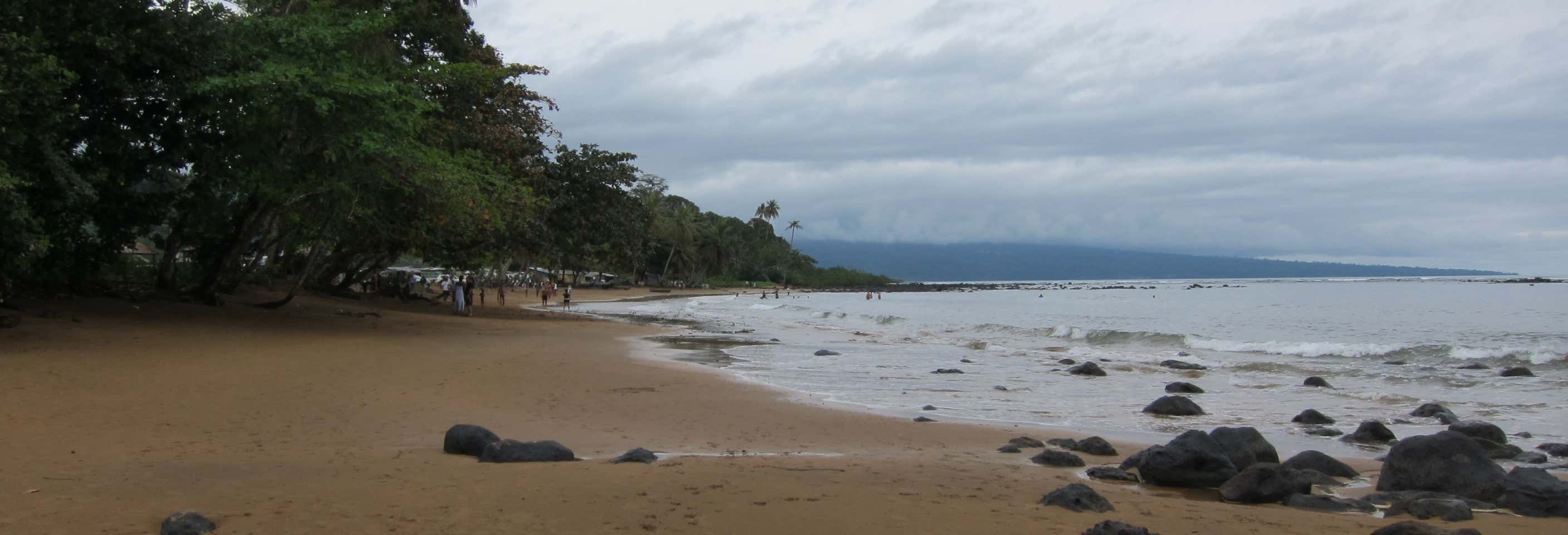 Escursione nella foresta pluviale di Ureka con avvistamento di tartarughe