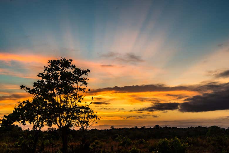 Ver más fotos