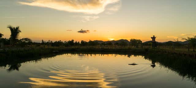 Tour in bicicletta + Tramonto dal Demerara Harbour Bridge