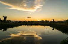 Demerara Harbour Bridge Sunset Bike Tour