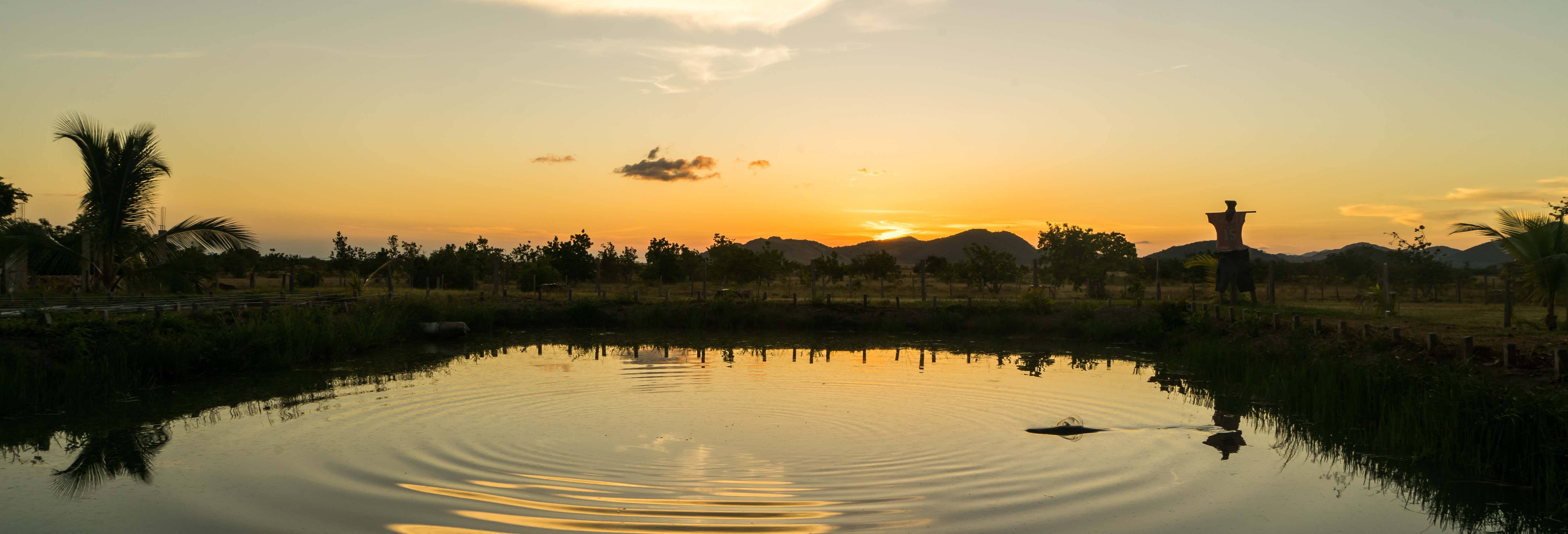 Tour in bicicletta + Tramonto dal Demerara Harbour Bridge