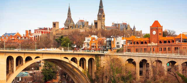 Tour di Georgetown in bici + Picnic