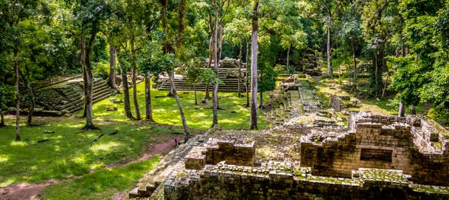 Escursione privata al Parco Archeologico e Parco degli Uccelli