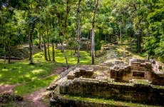 Private Copán Archeological Museum and Bird Park Trip