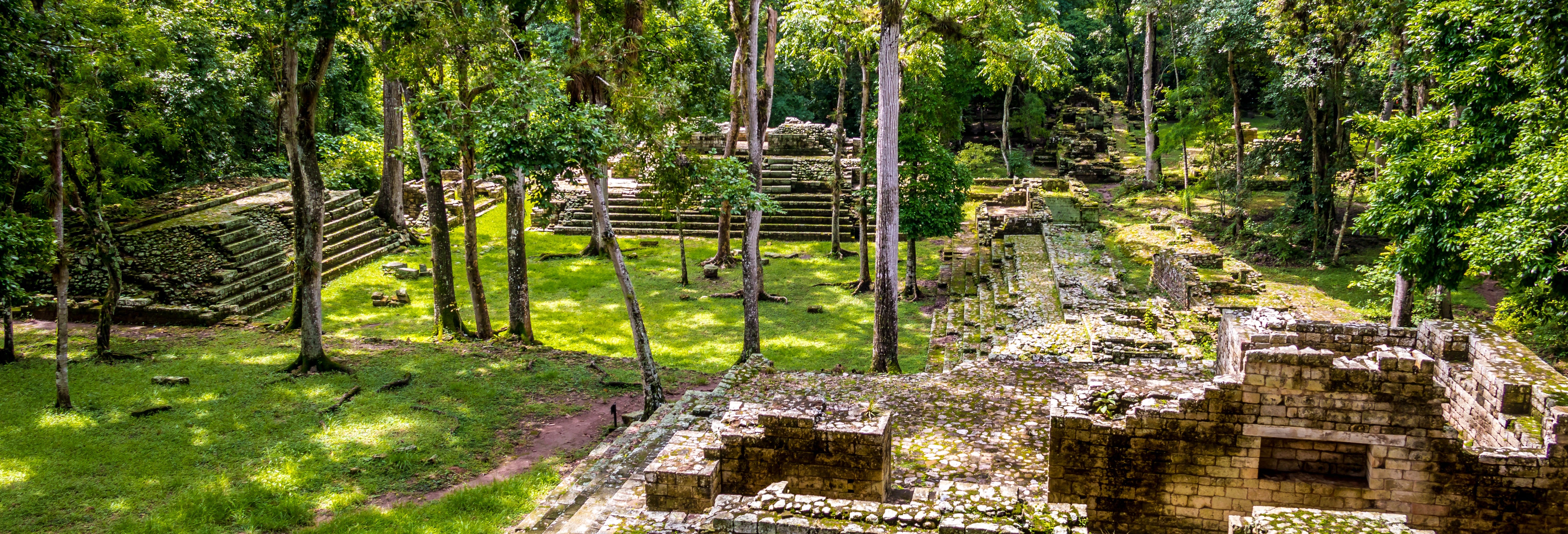 Copán Archeological Museum and Bird Park Trip