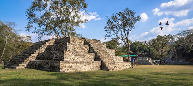 Tour privato di Copán Ruinas