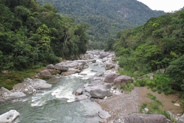 Imagen 8