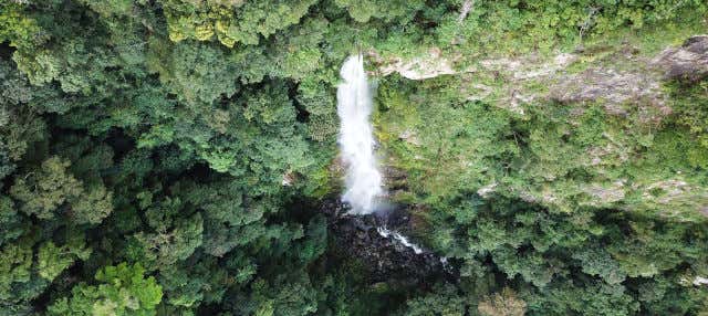 La Ceiba Private Hike