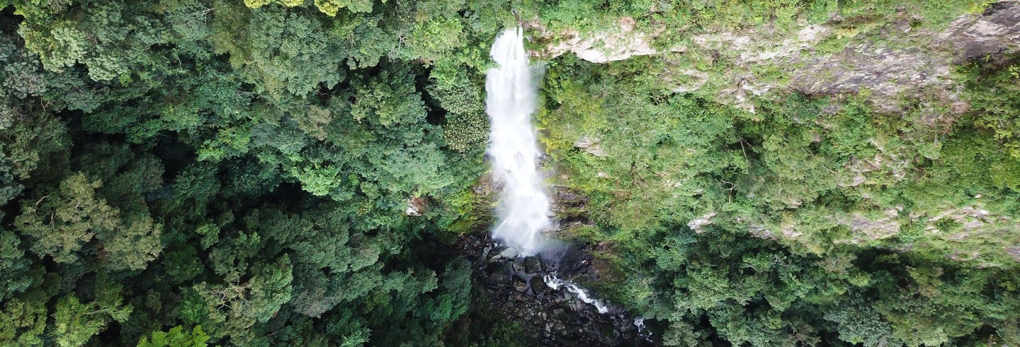 La Ceiba Private Hike