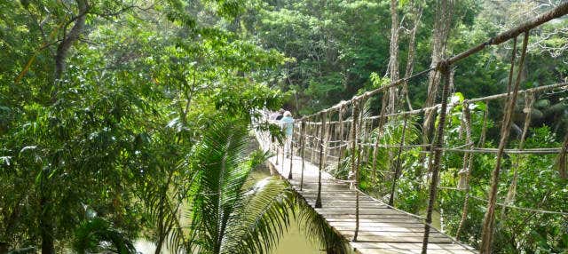 Escursione a Gumbalimba Park