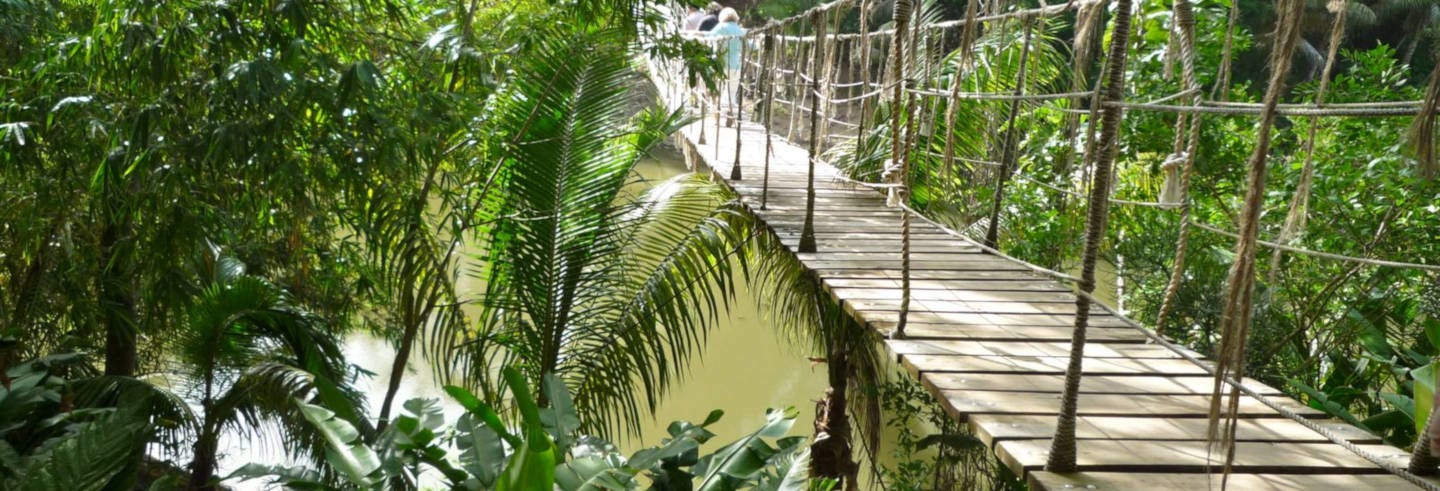 Gumbalimba Park Excursion