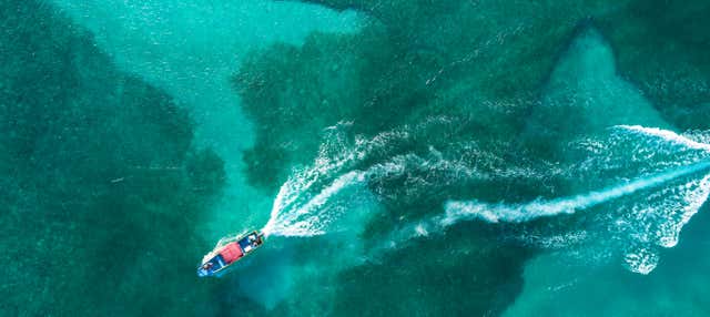Tour su una barca con fondo trasparente
