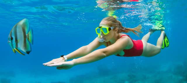 Giro in casa galleggiante e snorkeling a Roatán