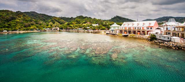 Tour privado por Roatán
