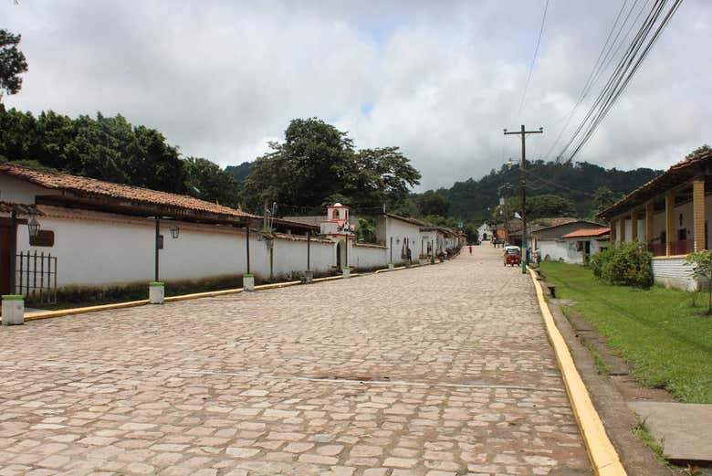 Imagen 5