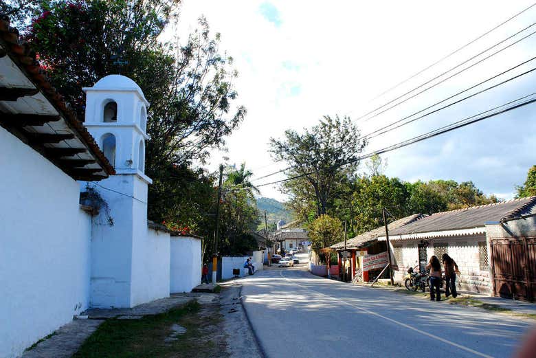 Imagen 8