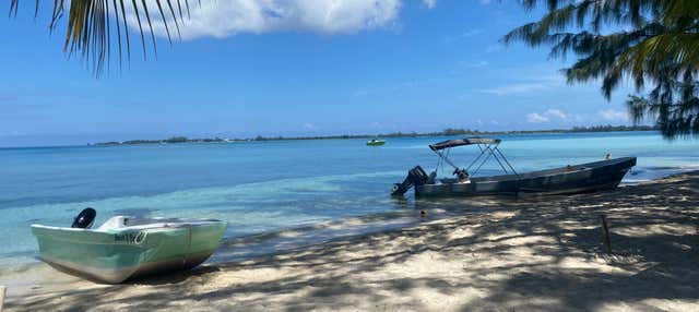 Escursione a Water Cay in barca