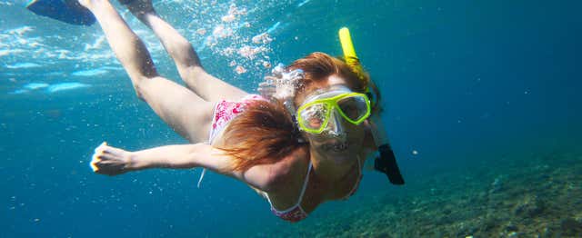 Snorkel en Útila