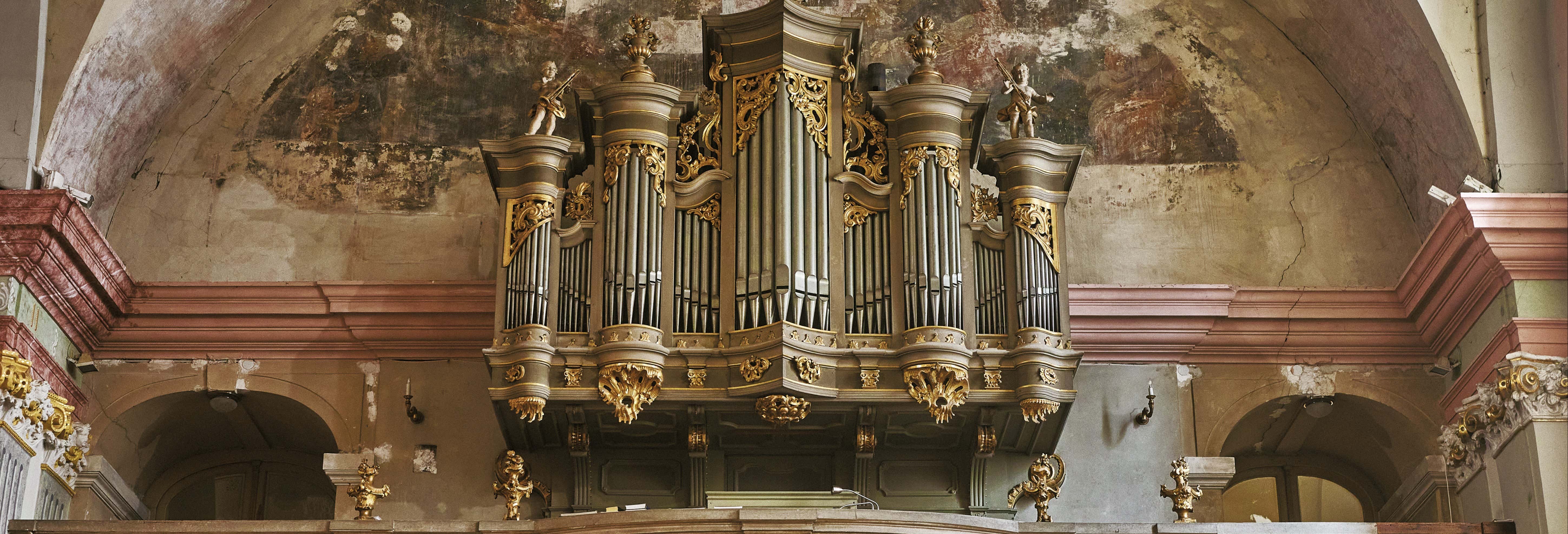 Concerto d'organo nella chiesa di San Michele