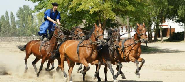 Escursione alla Pusta e spettacolo equestre