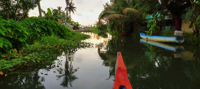 Tour dei canali di Alleppey