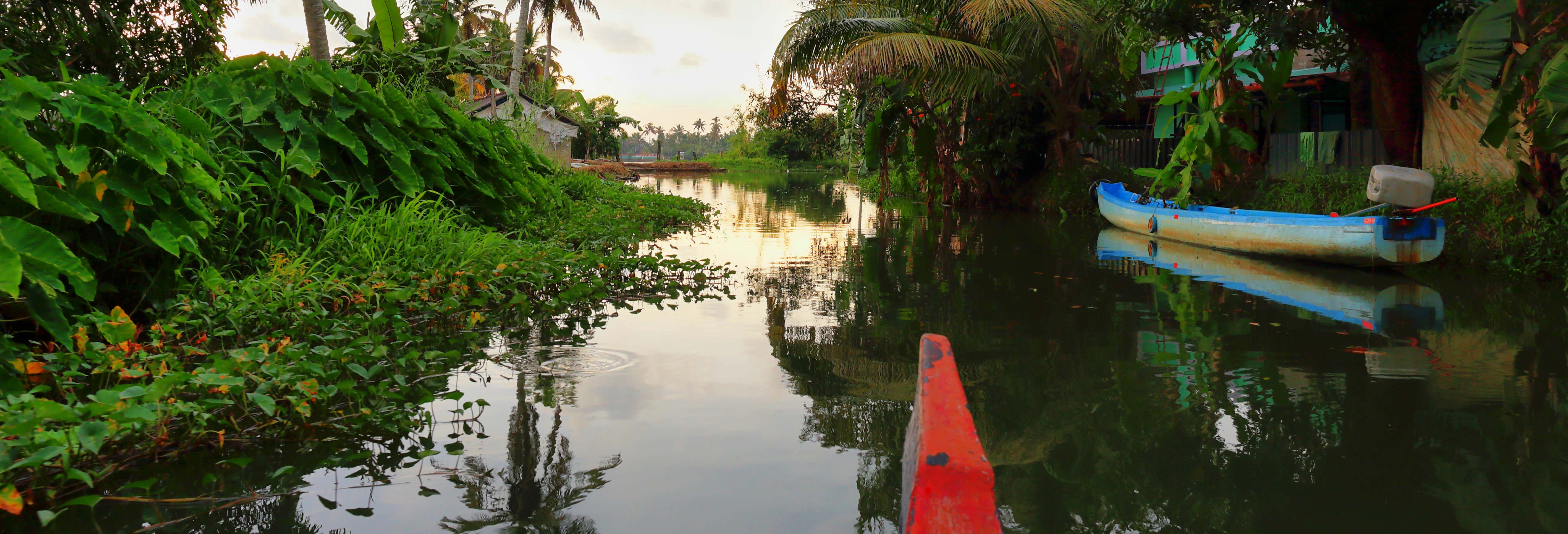 Alleppey Backwater Boat Tour