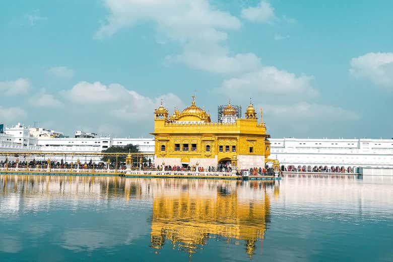 Imagen 2