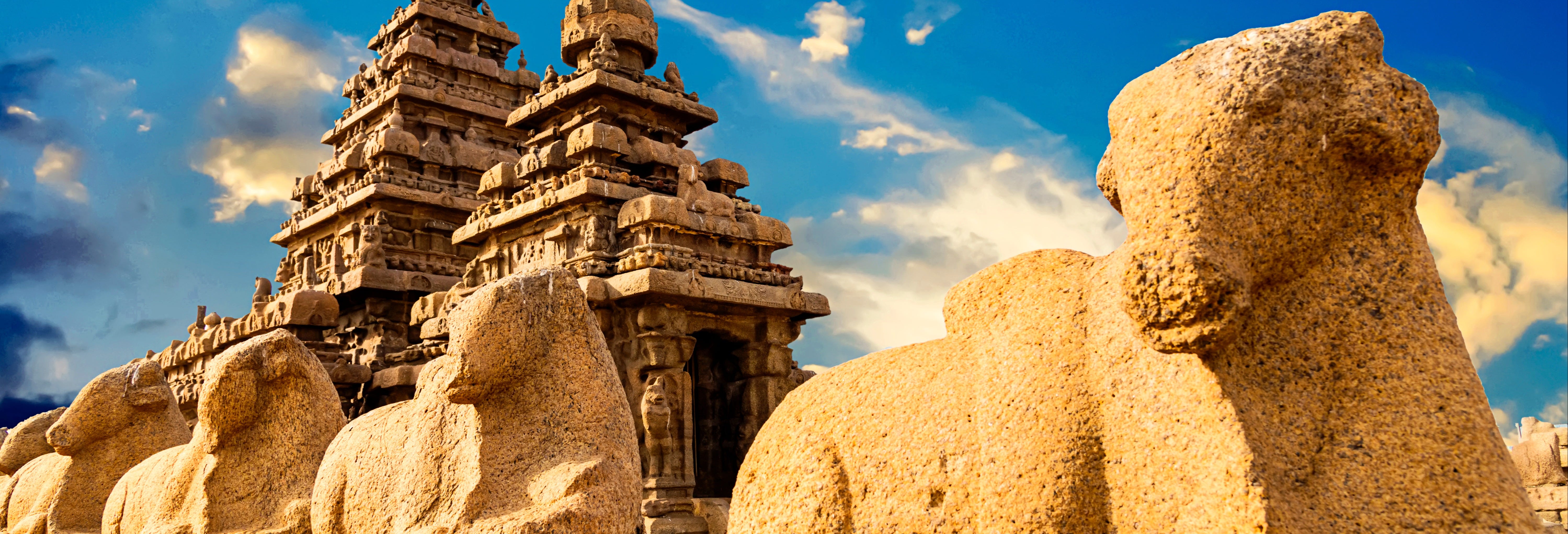 Mahabalipuram Day Trip