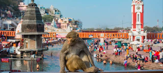 Escursione privata ad Haridwar