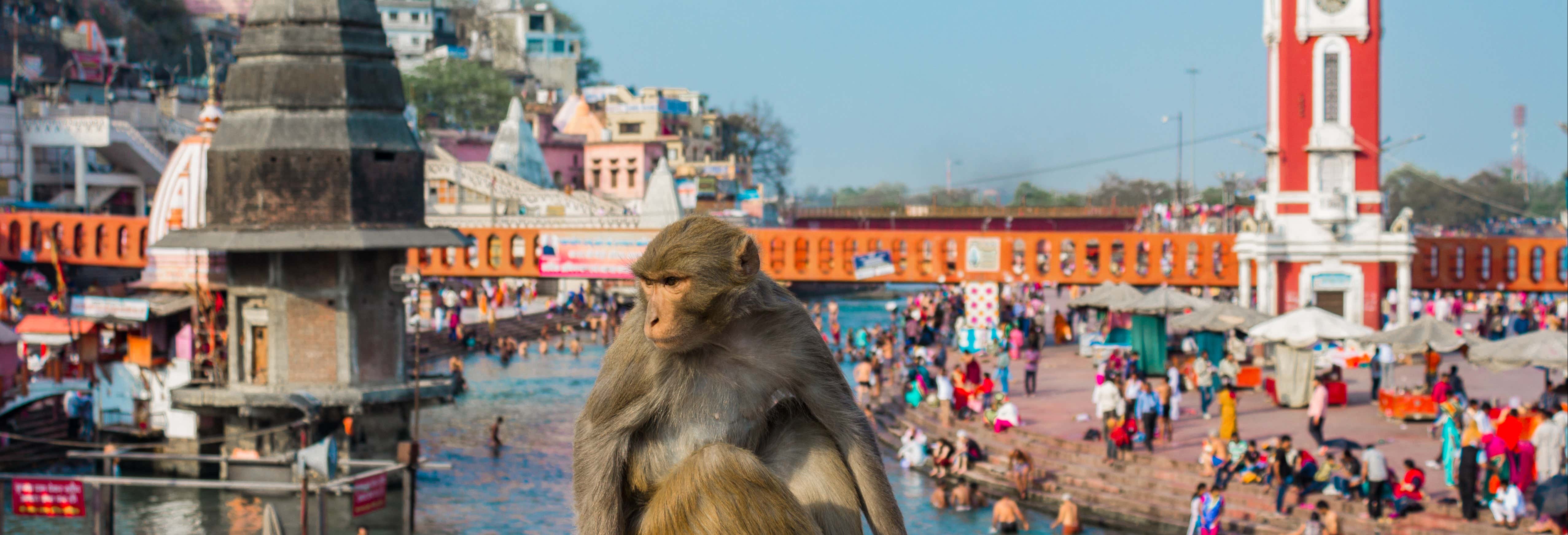 Escursione privata ad Haridwar