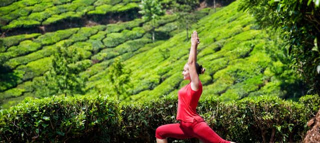 Ritiro yoga di 4 giorni a Jhansi