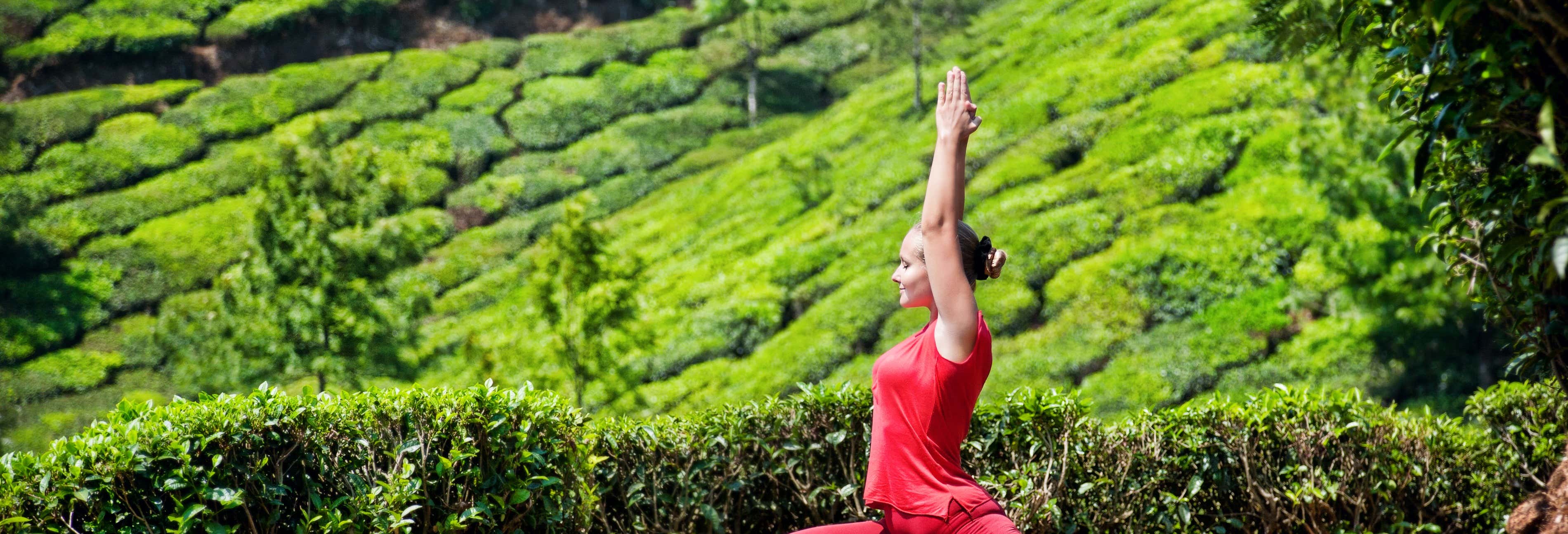 Ritiro yoga di 4 giorni a Jhansi