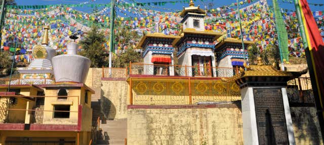 Tour della cultura buddista a Dharamshala