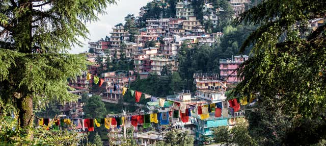 Visita guidata di McLeod Ganj