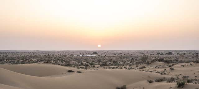 Escursione al deserto del Thar