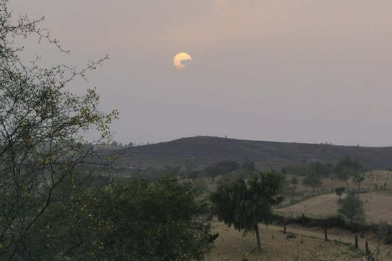 Imagen 8
