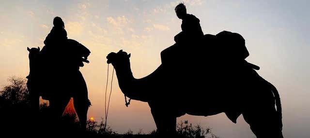 Notte nel deserto del Thar