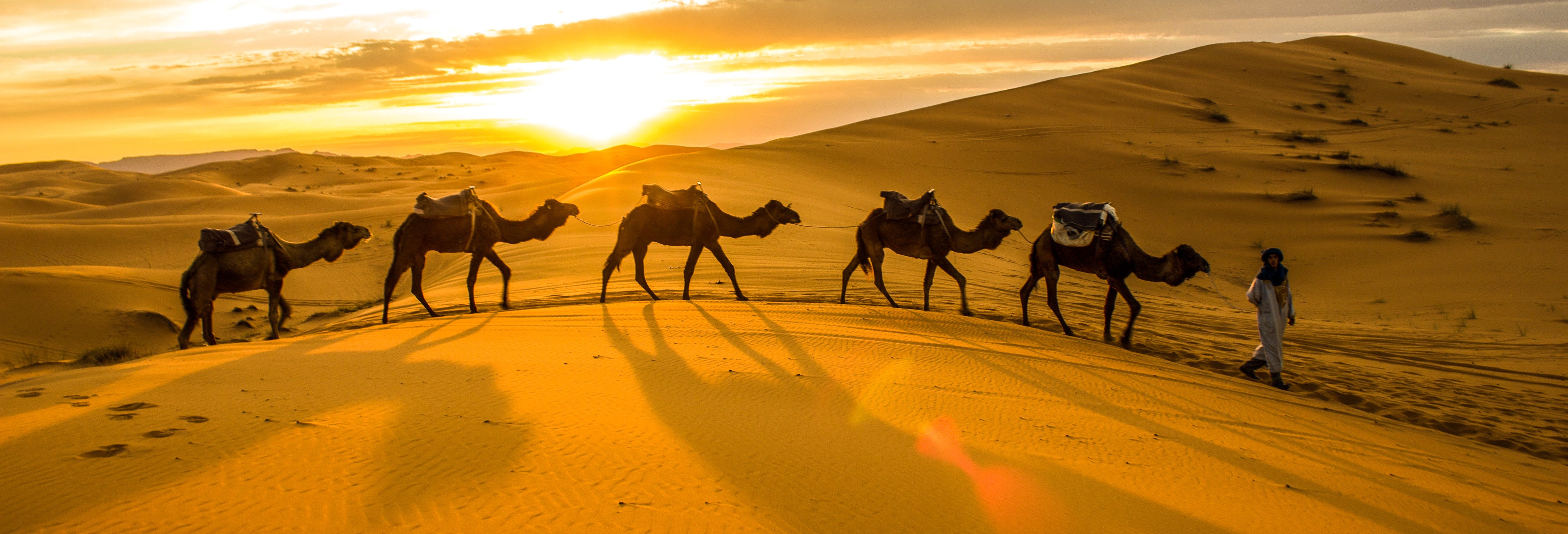 Camel Ride in the Thar Desert