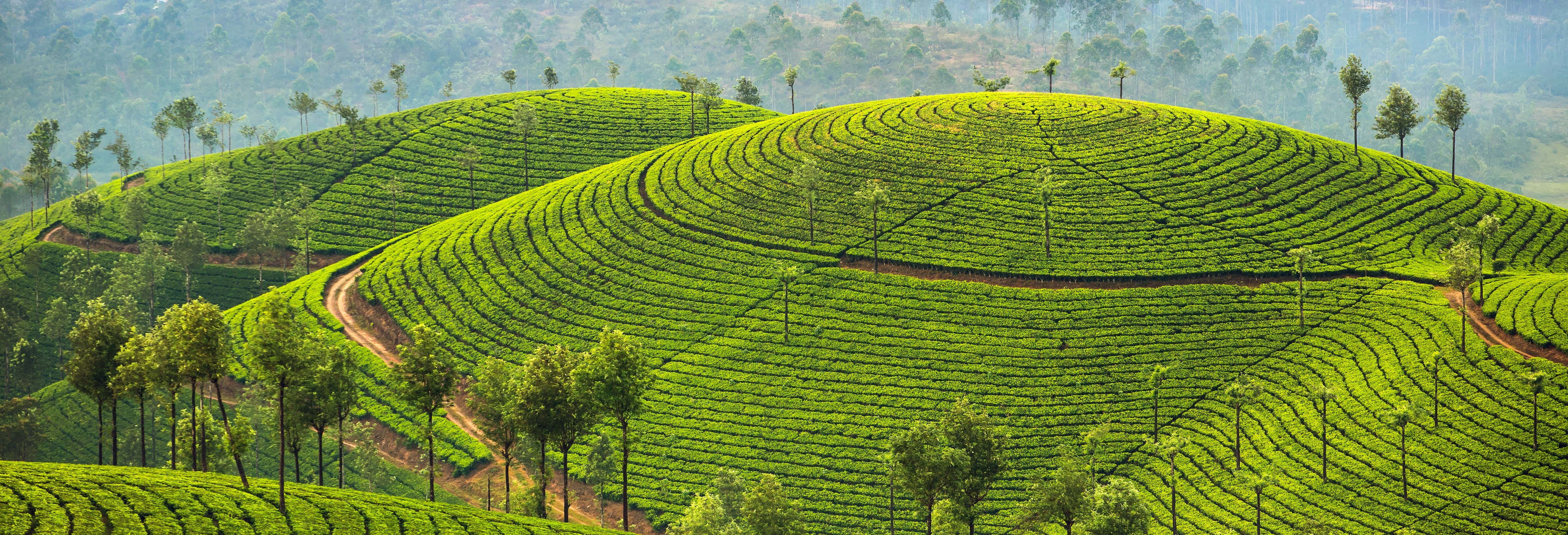 Munnar
