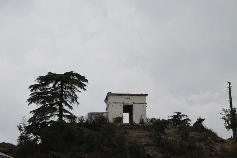 Imagen 4