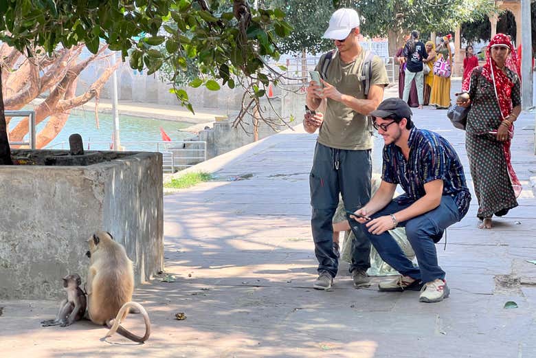 Pushkar Free Walking Tour