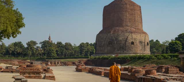 Escursione privata a Sarnath