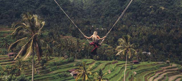 Biglietti per il parco delle altalene Bali Swing