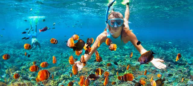Snorkeling a Bali