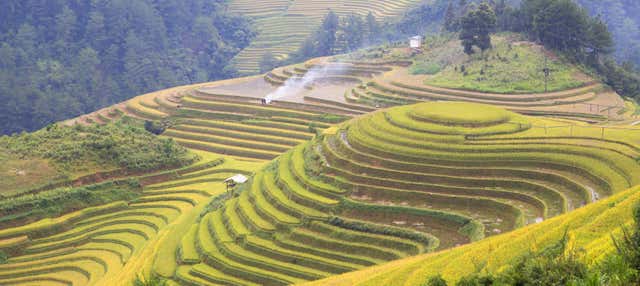 Tour in bicicletta elettrica per le risaie di Bali