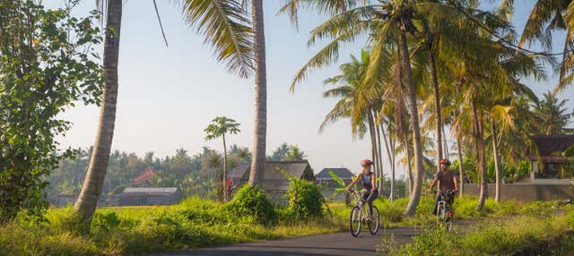 Tour di Ubud e Kintamani in bici