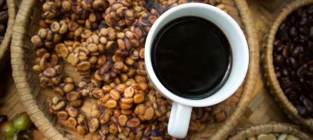 Escursione privata al Tangkuban Perahu + Centro del caffè Kopi Luwak