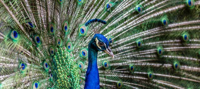 Ingresso do Bali Bird Park