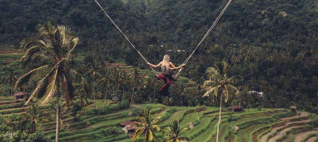 Entrada al parque de columpios Bali Swing